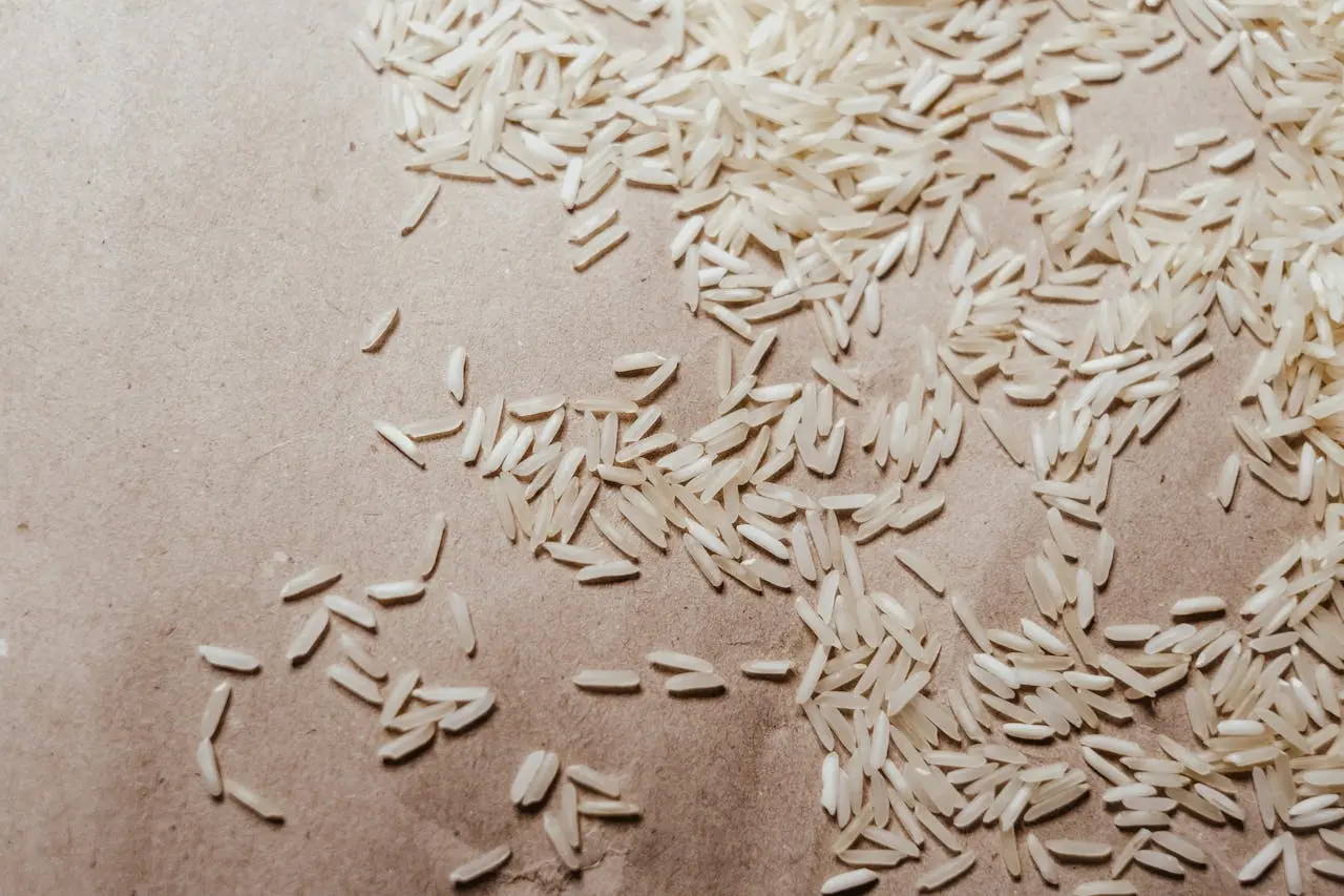 Premium Basmati Grains